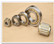 Roller Bearings