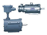 AC Asynchronous Motor