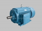 AC Asynchronous Motor