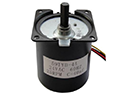 AC Synchronous Motor