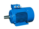 AC Induction Motor