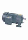 DC Gear Motor