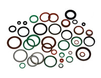 Oil Seal