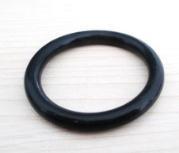 O Ring Seal