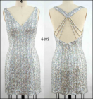 Evening Dress(6483)