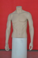 bust Mannequin-BSM105