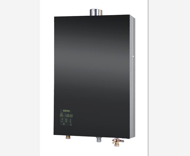 Gas Water Heaters