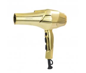 Professional hair dryer with AC motor