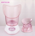 2 In 1 Anion Facial Steamer