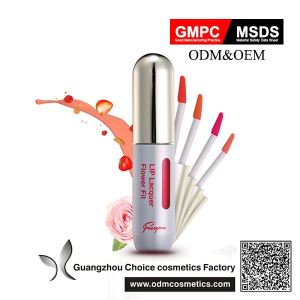 OEM Good Quality Competitive Price Matte Lipgloss