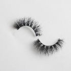 False Eyelashes