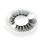 False Eyelashes