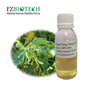 Ylang Oil