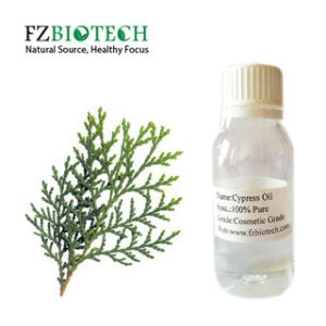 Cedar Oil