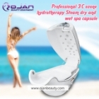 Professional 3C ozone hydrotherapy Steam dry and wet spa capsule