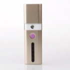 CHARGING TREASURE PORTABLE MINI FACIAL STEAMER