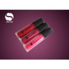 Multi Color Lip Gloss With Fast Shipment