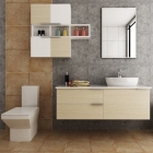 Bathroom Cabinet (OPW-PVC01)