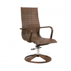 Rattan Chair (FX-TY0175)