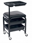 Salon tool trolley (SK-MJC1)