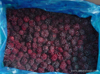 Frozen Blackberries