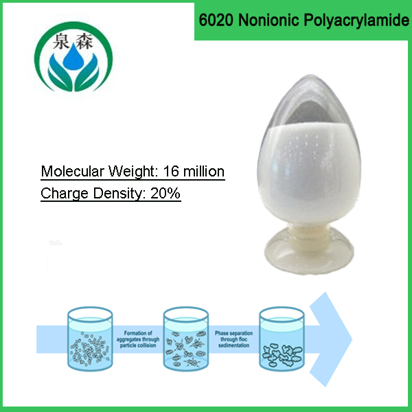 Anionic Polyacrylamide (6020)