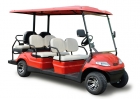 Electric Golf Cart