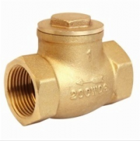 Brass Swing Check Valve (243)