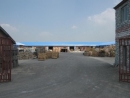 Dandong Donghwa Landscape Co., Ltd.