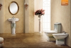 Sanitary Ware Suite (105)