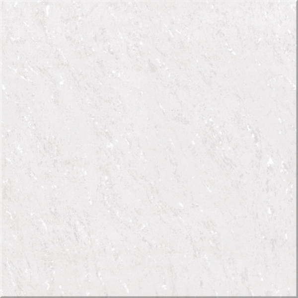 Polished Porcelain Floor Tile