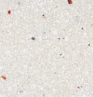 Artificial Quartz Floor Tile(CK-2824)
