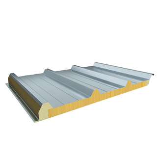 Sandwich Panel (SP06)