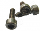 Torx Screw