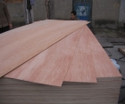 Commercial Plywood