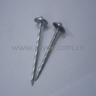 Roofing Nail