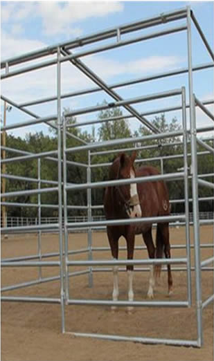 Horse Fence