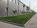 Qingdao Fleming Tyre Co., Ltd.