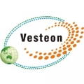 Shandong Vesteon Automotive Parts Co., Ltd.