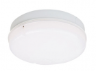 LED Ceiling Light C008-20