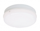 LED Ceiling Light   C016-20