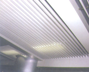 Blade Ceiling