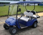 Electric Golf Cart