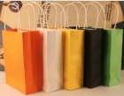 Shopping Paper Bag