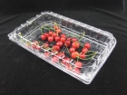 Fruit Packaging Box