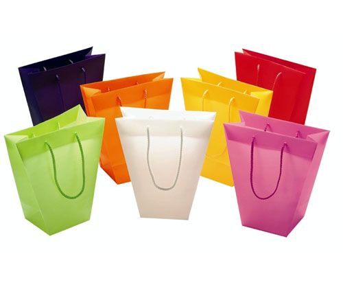 Paper Shopping Bag