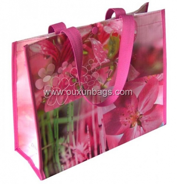 Laminated non woven bag