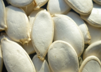 Pumpkin Seeds-Snow White Pumpkin Seeds