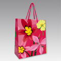 Shopping bag