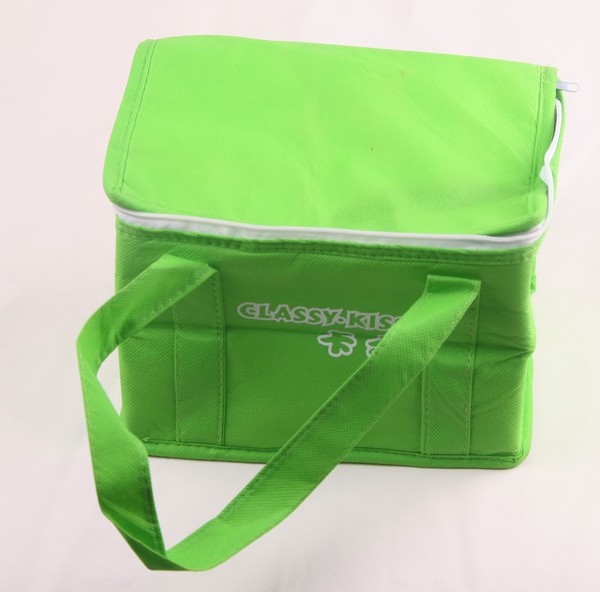 Cooler bag